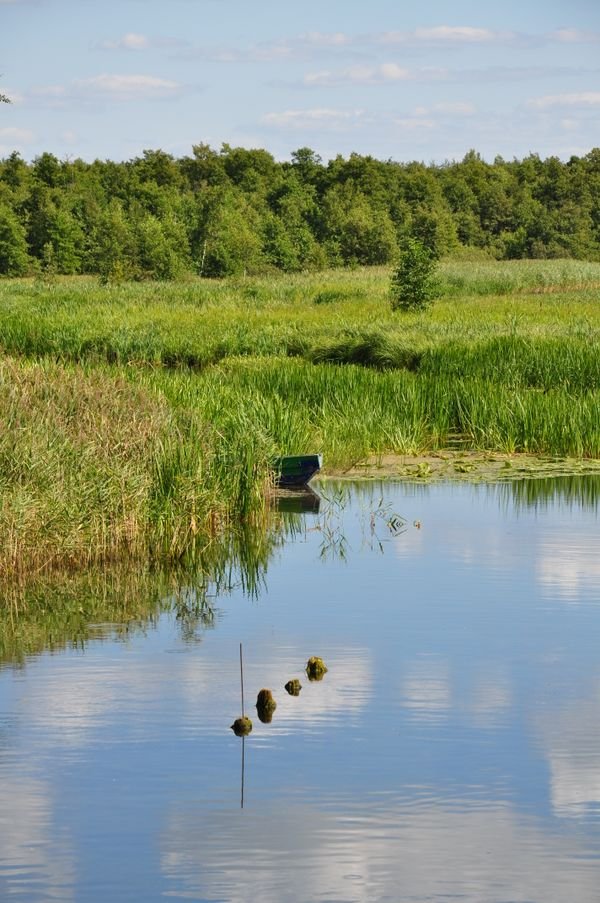 Nature Reserves Category